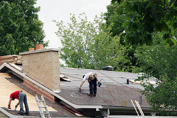 Roof Gutter Cleaning in Albers, IL